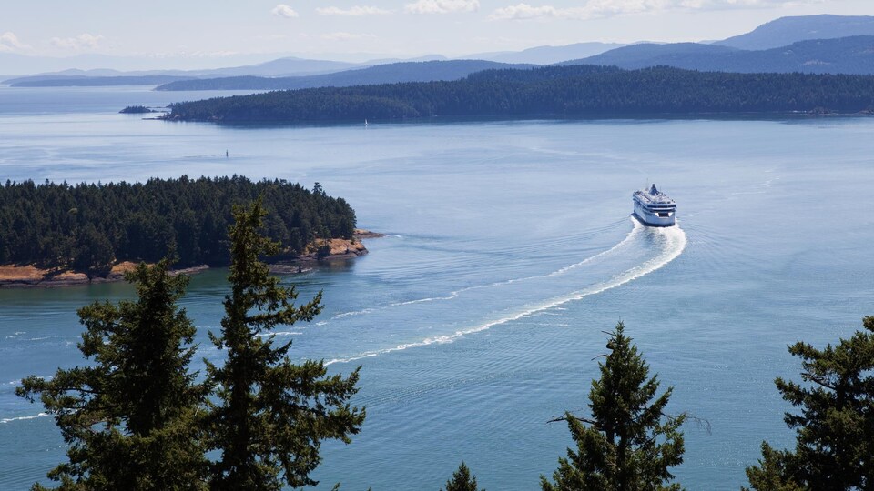Un ferry.