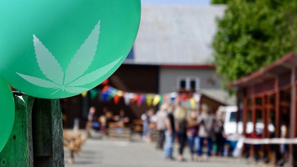 Un ballon vert avec une feuille de marijuana, avec des festivités en arrière-plant