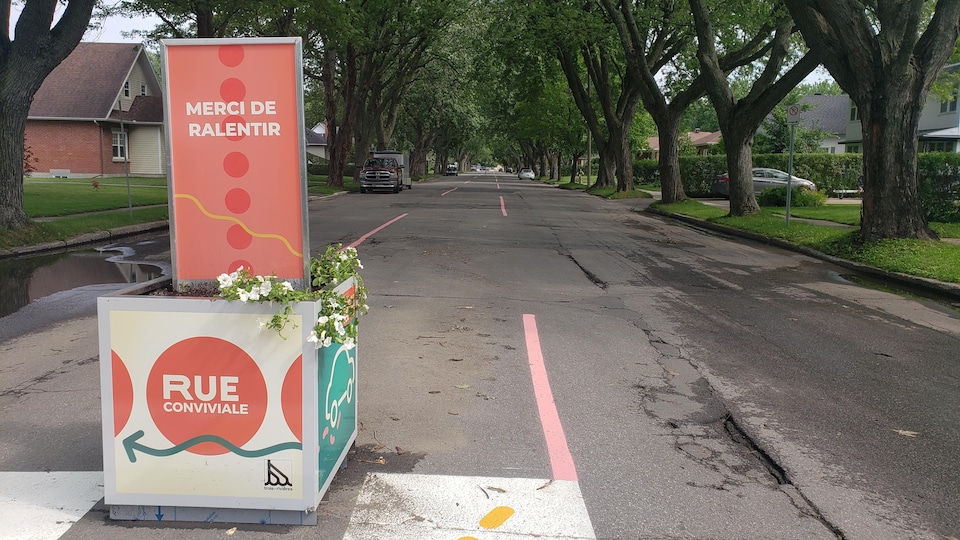 Une boîte à fleurs sur une rue résidentielle.
