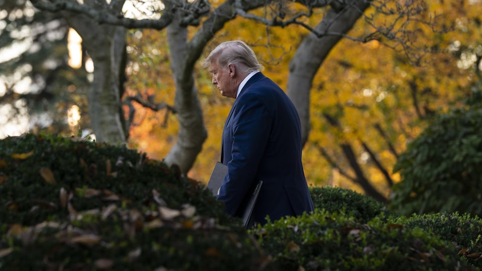 Plan éloigné de Donald Trump marchant dans la roseraie de la Maison-Blanche.
