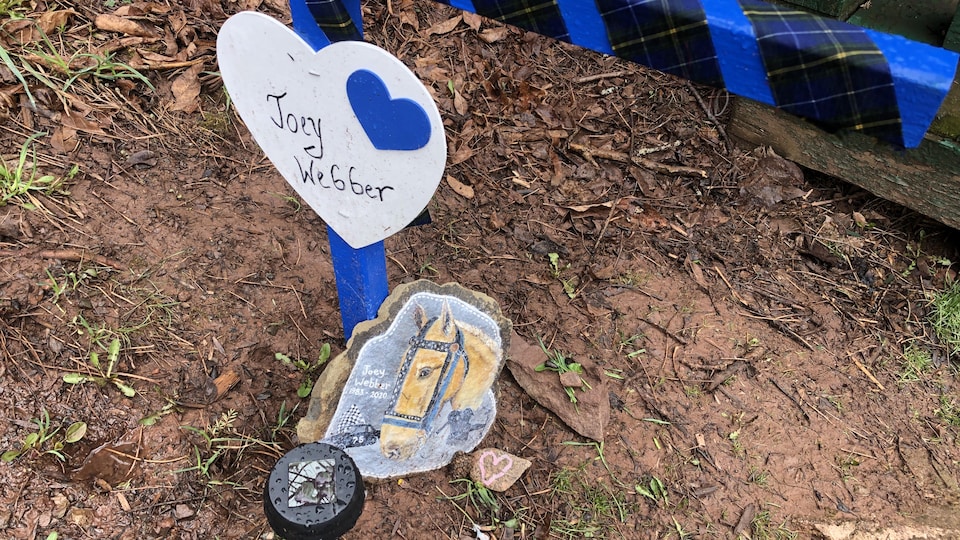 Un cheval peint sur une roche et un coeur au nom de Joey Webber.