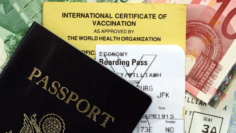 Un passeport, un carnet de vaccination, une carte d'embarquement et des euros.