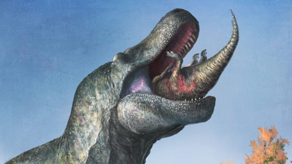 Illustration d'un Tyrannosaurus mangeant un Edmontosaurus juvénile.