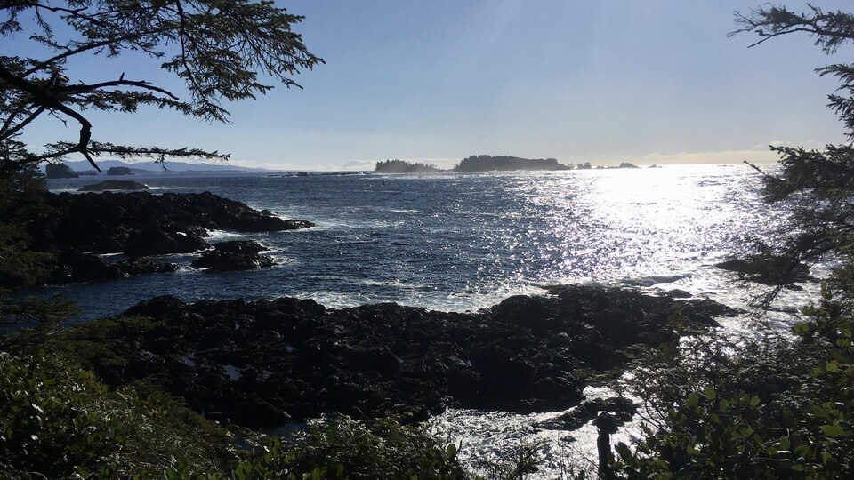 Un paysage de l'île de Vancouver, près d'Ucluelet, le 20 février 2019.