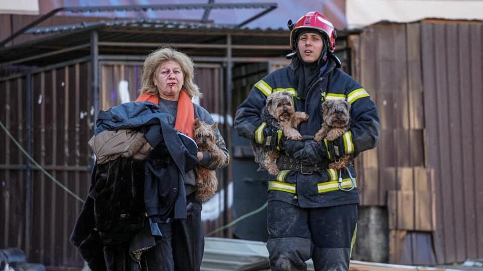 Une femme au visage ensanglanté est aidée par un pompier qui porte ses deux chiens.