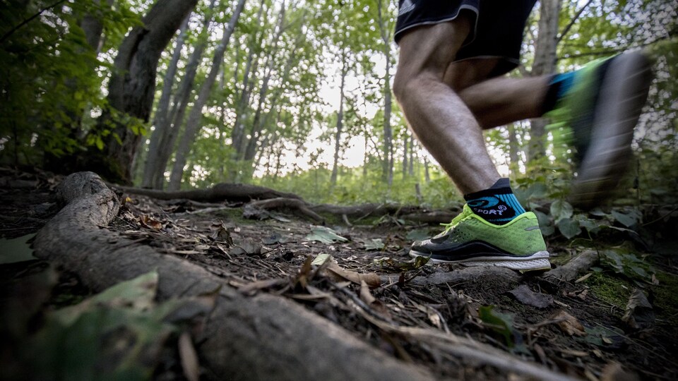 Les pieds d'un coureur en sentier