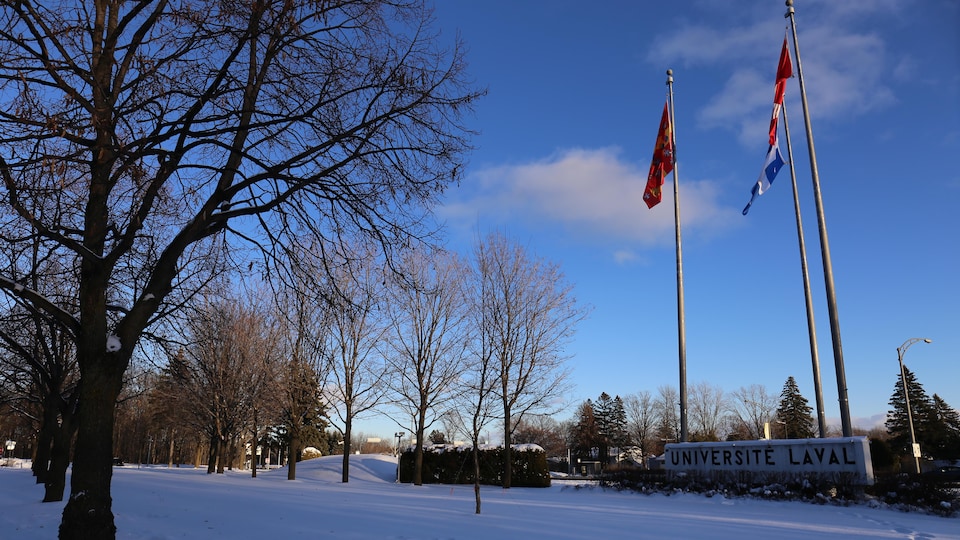 Les trois drapeaux et l'affiche de l'université à l'entrée du campus.