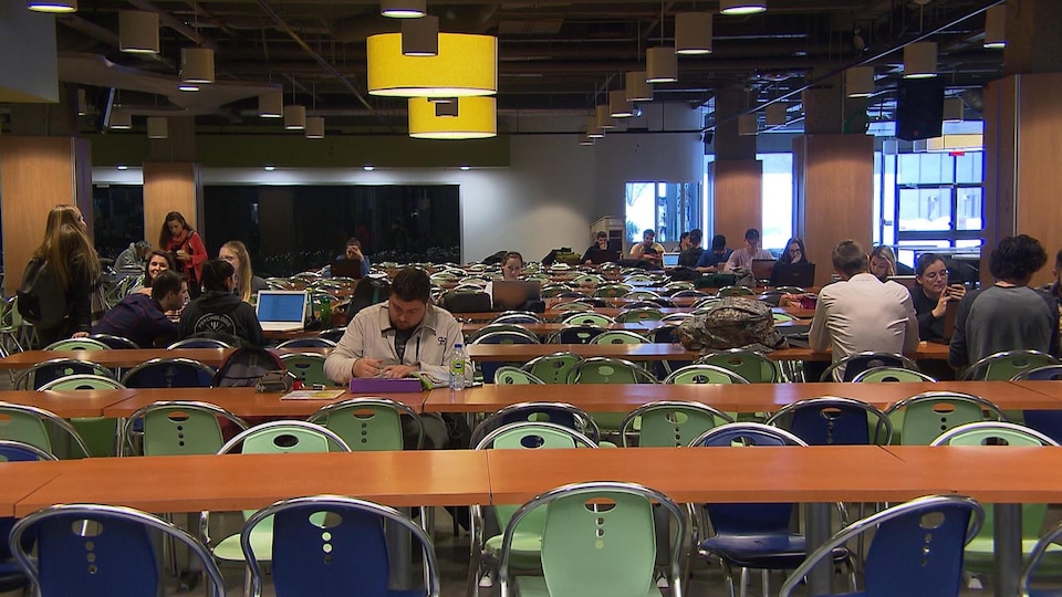 Des étudiants assis à des tables travaillent.