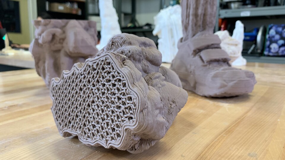 Des pièces de diverses formes fabriquées par une imprimante 3D, dont un soulier et un tibia.