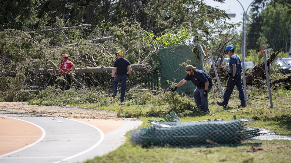 Quatre hommes ramassent des branches d'arbres et tentent de déplacer un arbre qui est tombé.
