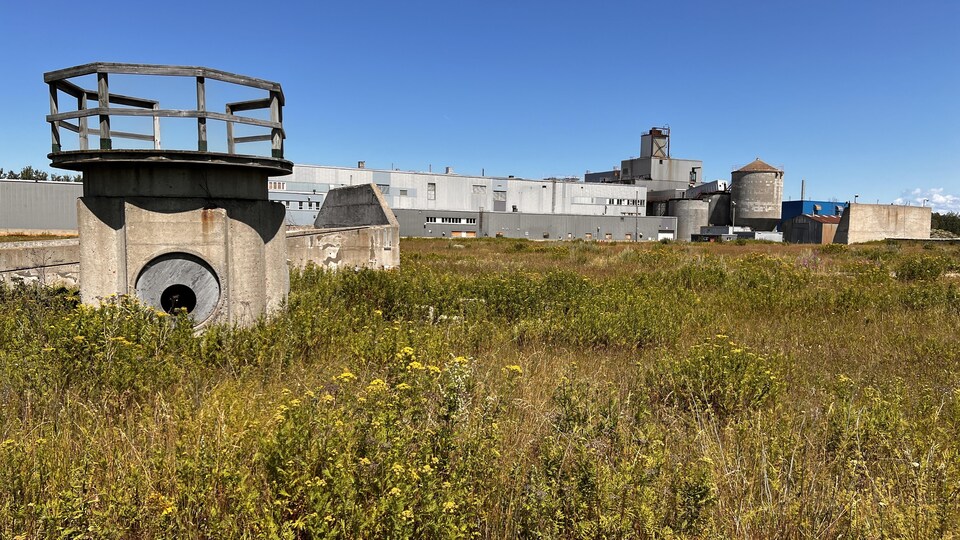 Le site de l'usine désaffectée de Rock Tenn.