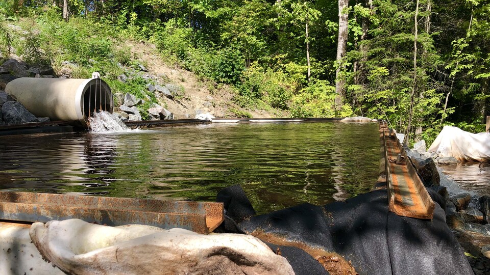 Un tuyau rejette l'eau provenant de l'usine de filtration du Lac-à-la-Pêche dans un cours d'eau.