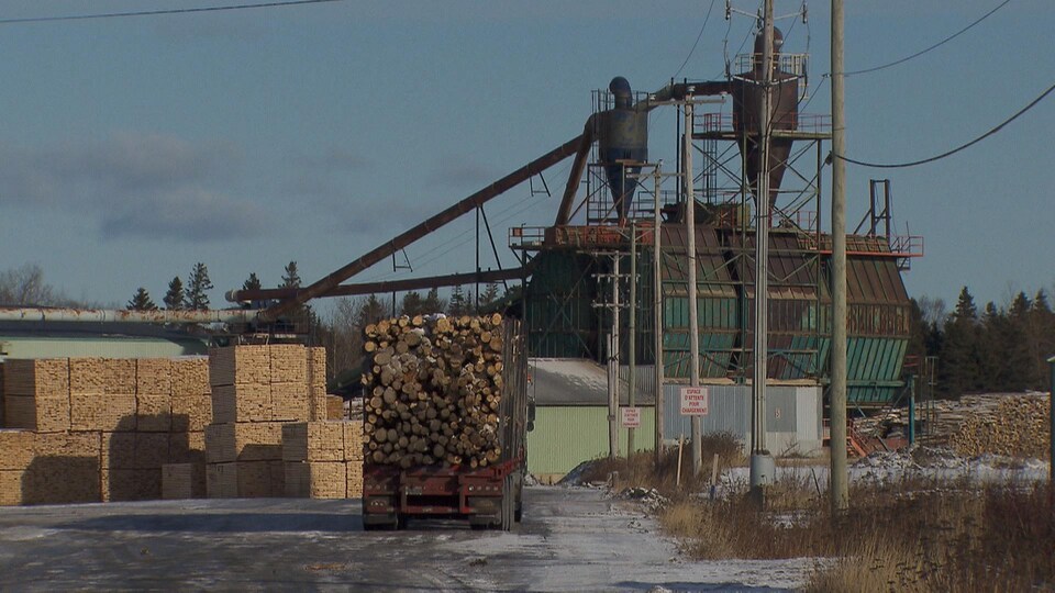 La cour à bois de l'usine GDS de Matane.
