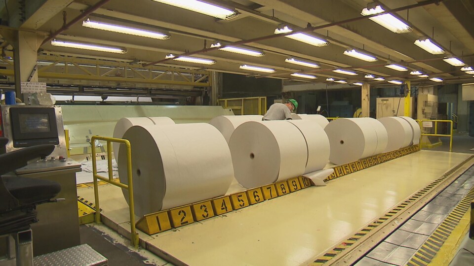 Un employé inspecte d'immenses rouleaux de papier qui sont alignés dans une pièce de l'usine.