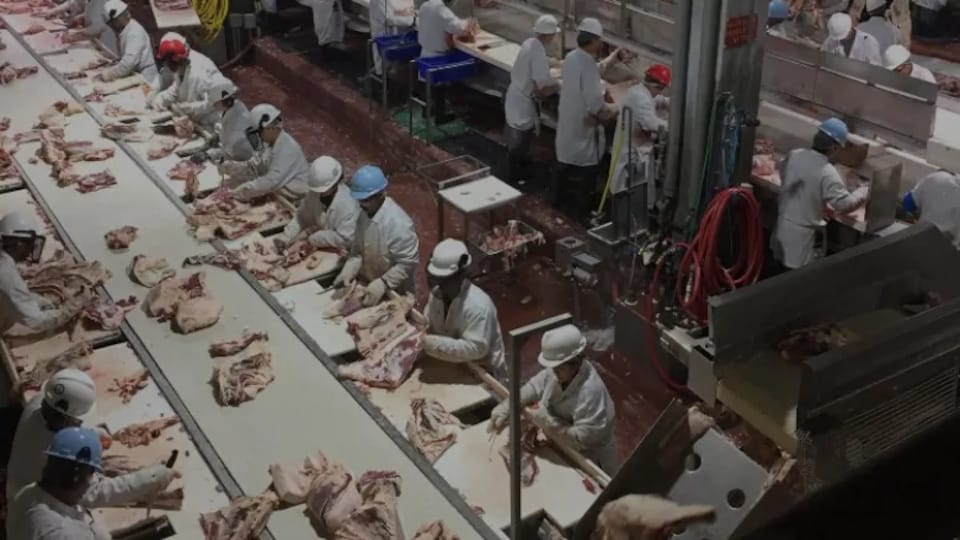 Des travailleurs dans une usine de transformation de viande.