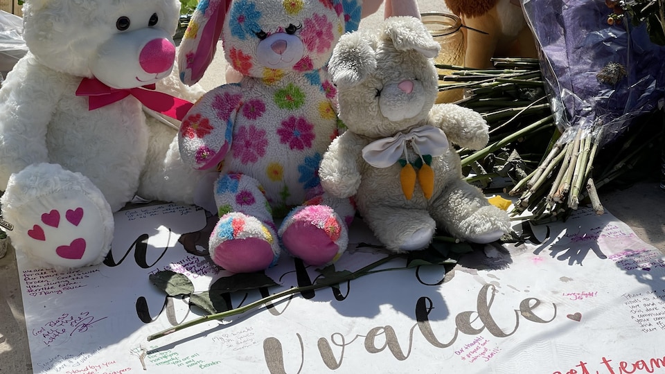 Thousands of people have been following each other since Tuesday in a park in the heart of Uvalde city to place flowers and stuffed animals to pay tribute to the memory of the 21 victims of the hunt.
