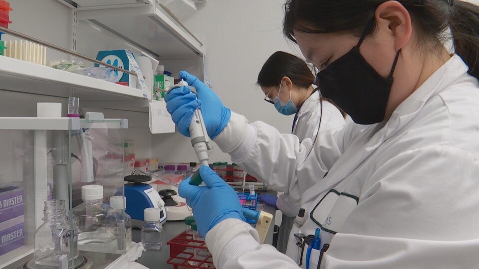 Deux techniciennes de laboratoire en train de travailler.