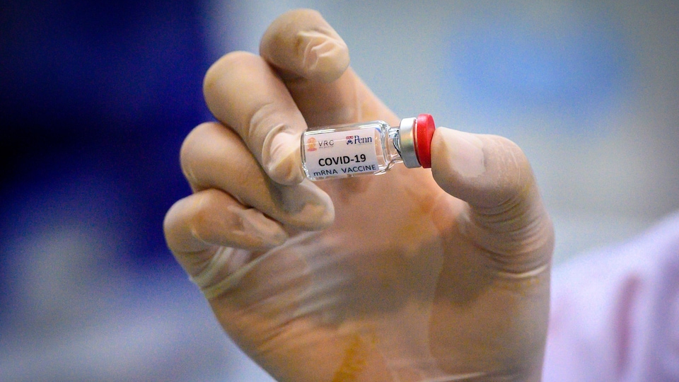 Une main tient une petite bouteille sur laquelle on peut lire : COVID-19 vaccin.