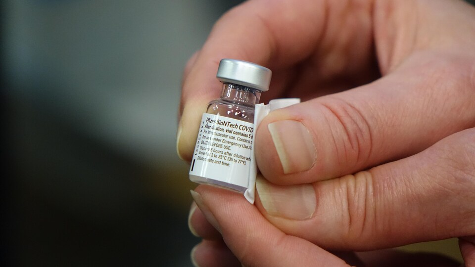 Une fiole du vaccin de Pfizer-BioNTech.