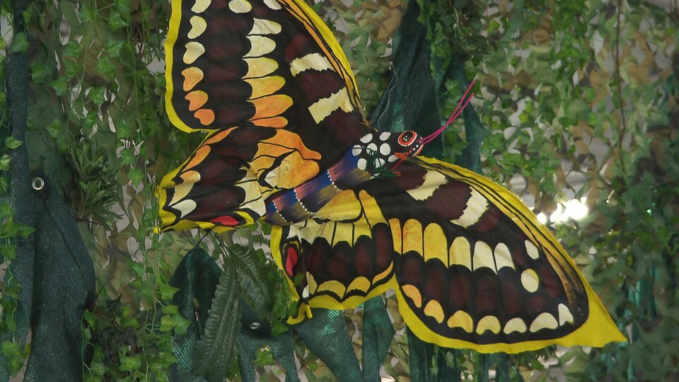 Un papillon géant en décoration.
