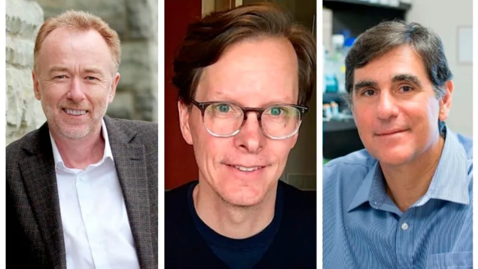Les trois professeurs de l'Université Western de London