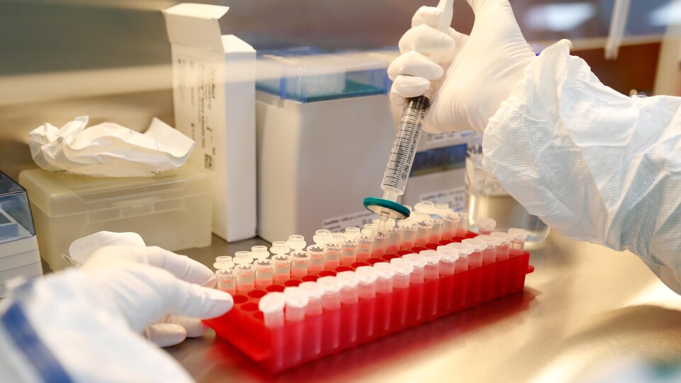 Un scientifique travaillant dans un laboratoire.