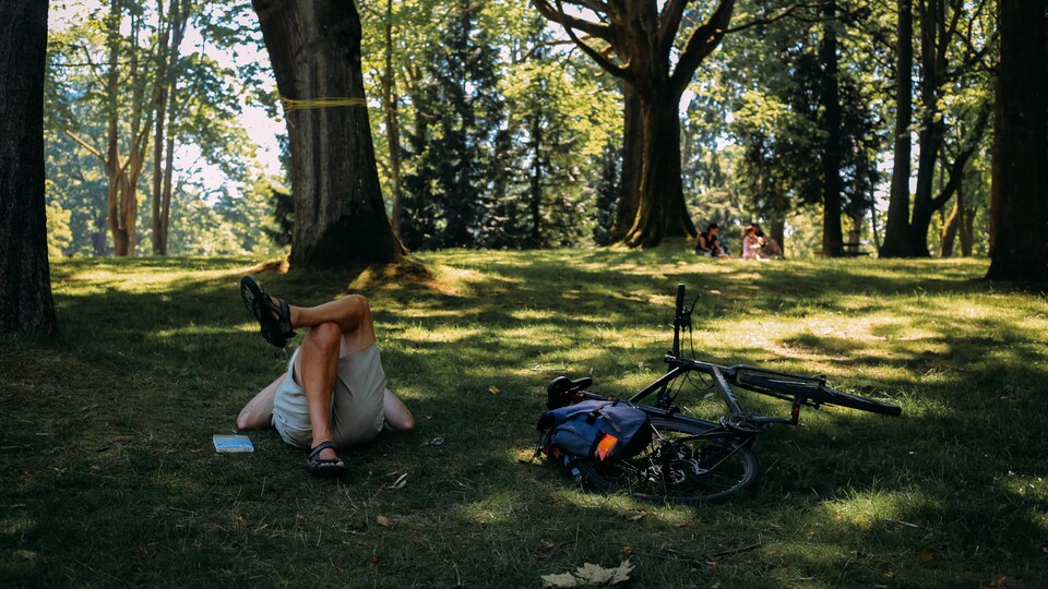 Une personne est couchée au sol, sur l'herbe et profite de l'ombre dans un coin de Stanley Park.
