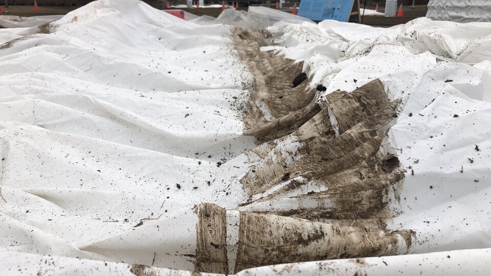 Une trace de véhicule et des trous visibles sur une toile blanche d'installations gonflables.