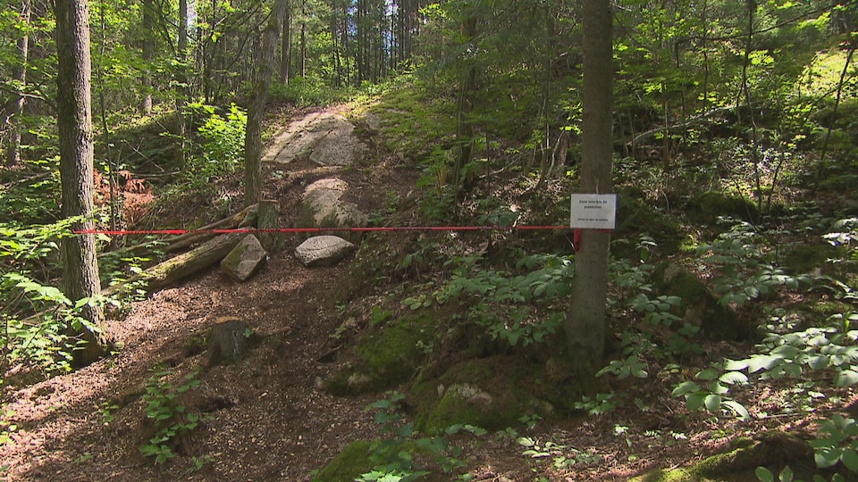 Un ruban rouge devant un sentier de vélo de montagne dans la forêt.