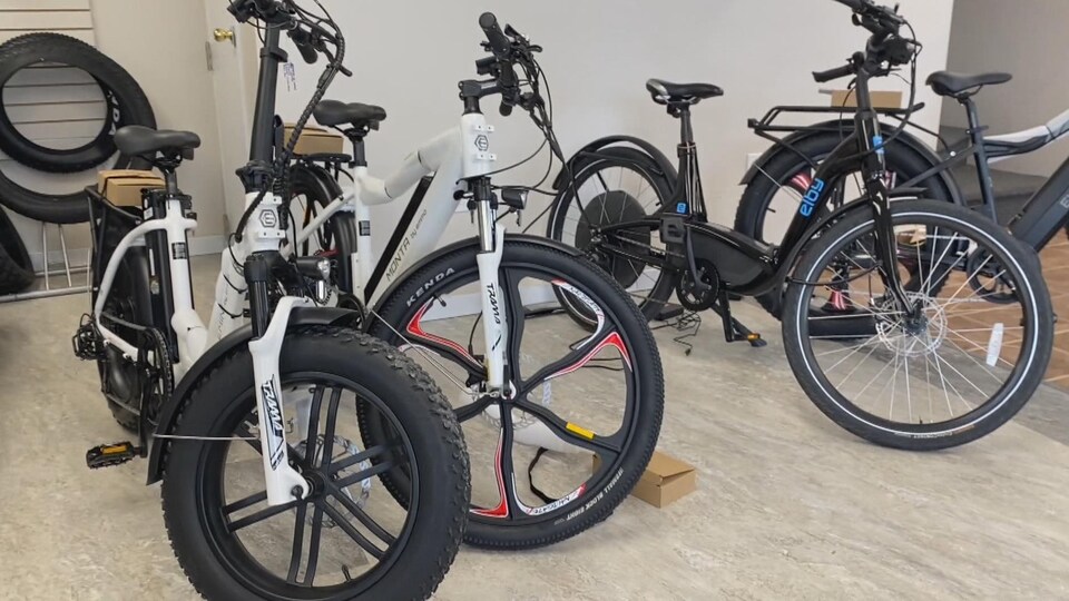 Des vélos électriques, dont un modèle à pneus surdimensionnés et un modèle de ville.
