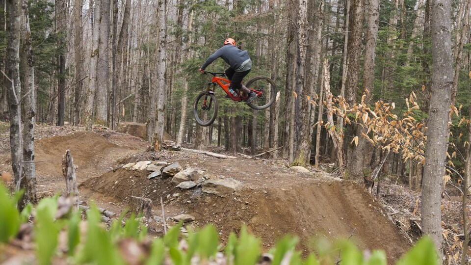 Un cycliste fait un saut en forêt.