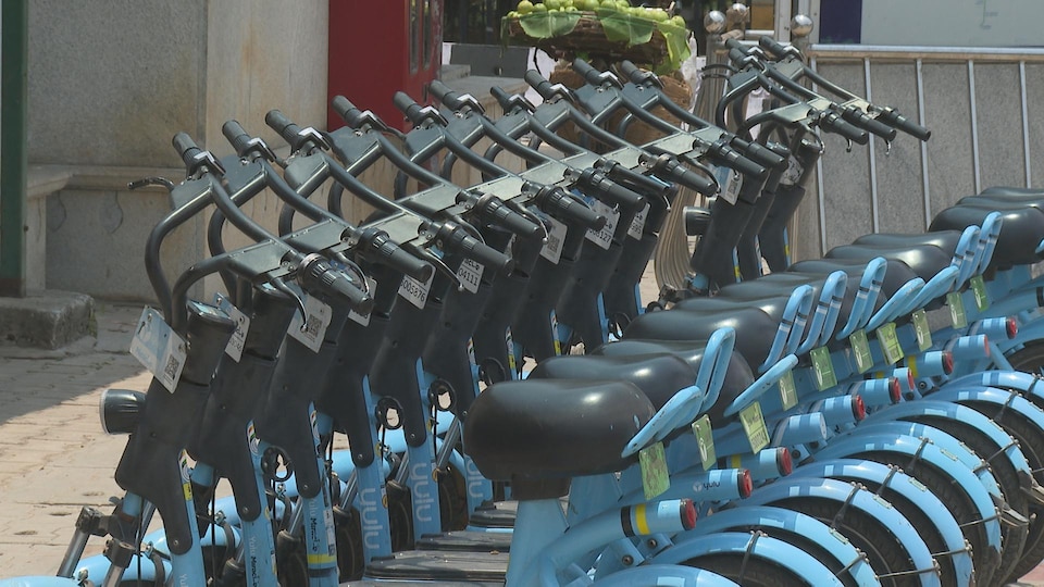 Une série de vélos stationnés.