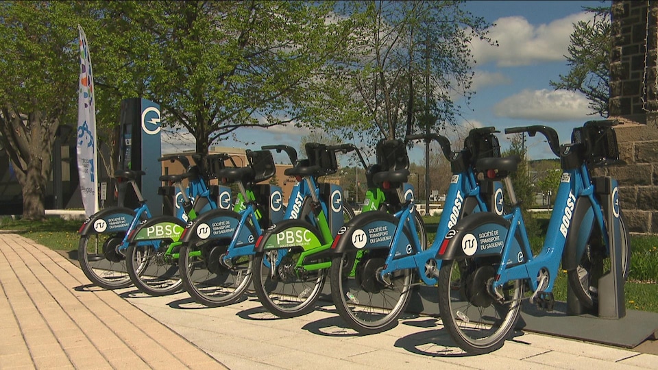 Quelques bicyclettes sont ancrées dans une station où il est possible de les emprunter.