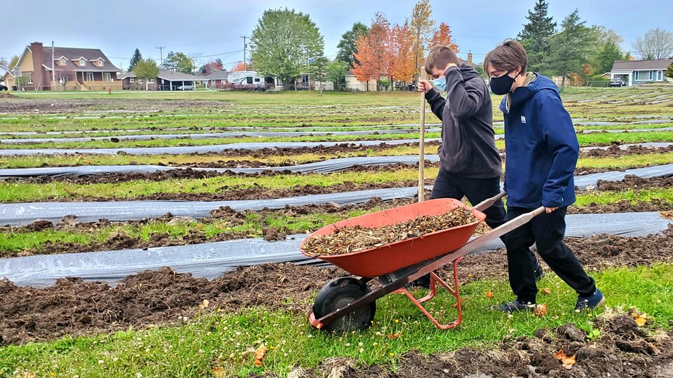 Deux adolescents marchent sur un terrain vague. L'un d'eux pousse une brouette.