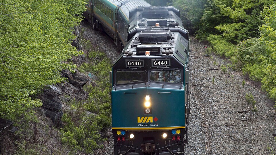 Un train de VIA Rail en mouvement à travers une zone boisée.