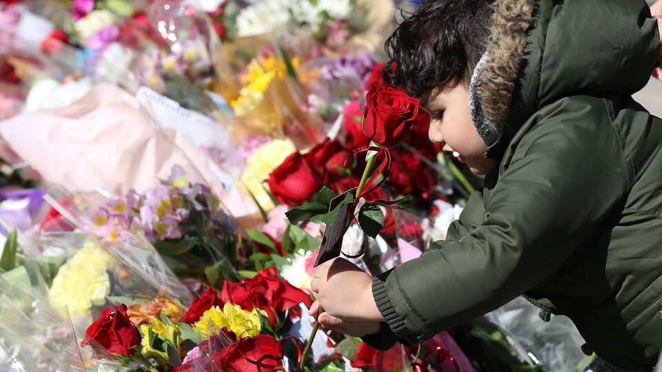 Un garçon tient une rose rouge au-dessus de dizaines de bouquets de fleurs.