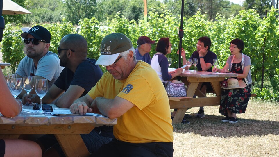Des groupes assis à des tables de pique-nique dans un vignoble. 