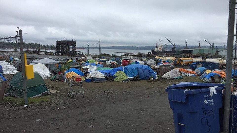 Plusieurs dizaines de tentes entassées sur un terrain sur le bord de l'eau.