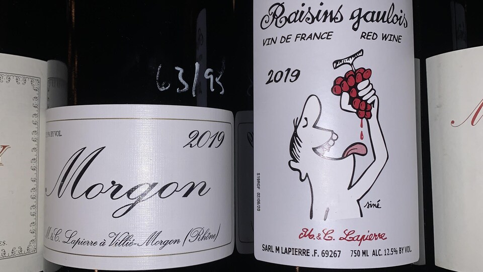 Deux bouteilles de vin.