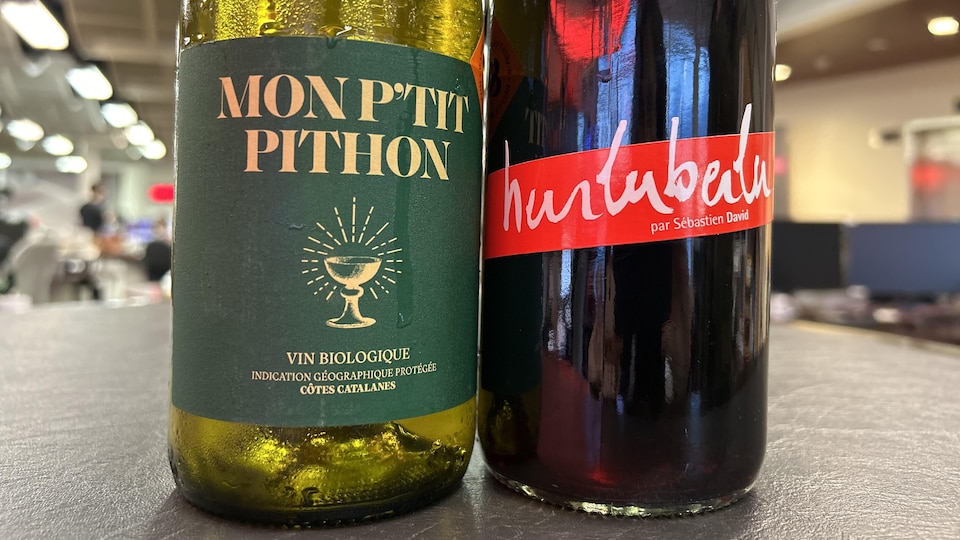 Vins avec Martin Saucier deux vins disponibles en SAQ