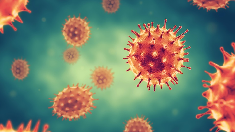 Une illustration de cellules de virus. 