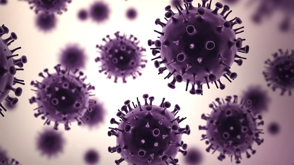 Le virus de l'influenza vu au microscope
