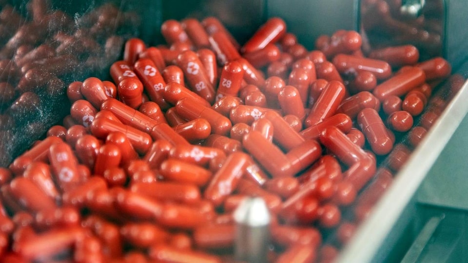 Une barquette de comprimés antiviraux fabriqués par la compagnie pharmaceutique Merck.