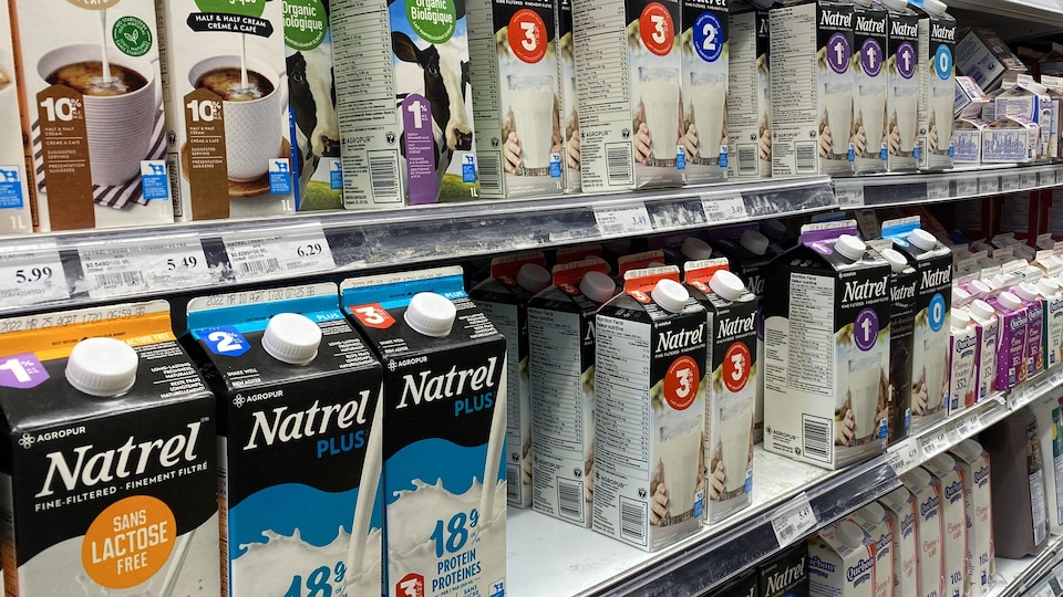 Des pintes de lait dans un étalage d'épicerie.