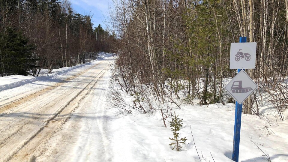 Un sentier enneigé bordé d'arbres et de sapins. En bordure du sentier, des panneaux indiquent qu'il est destiné aux gens en motoneige et en VTT.