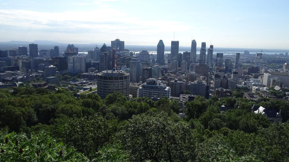 Vue des immeubles du centre-ville de Montréal et des arbres sur le flanc du mont Royal