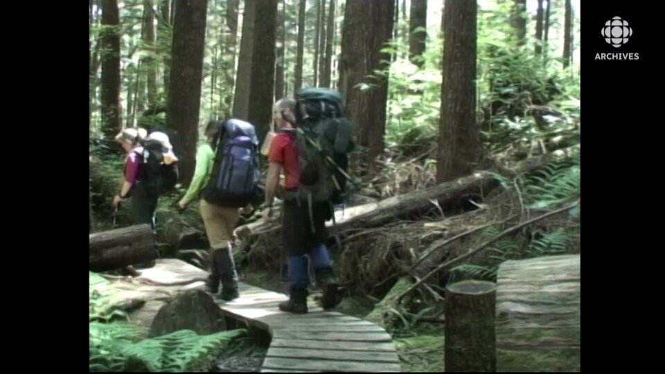 Trois randonneurs portant des sacs à dos sur un sentier dans la forêt.
