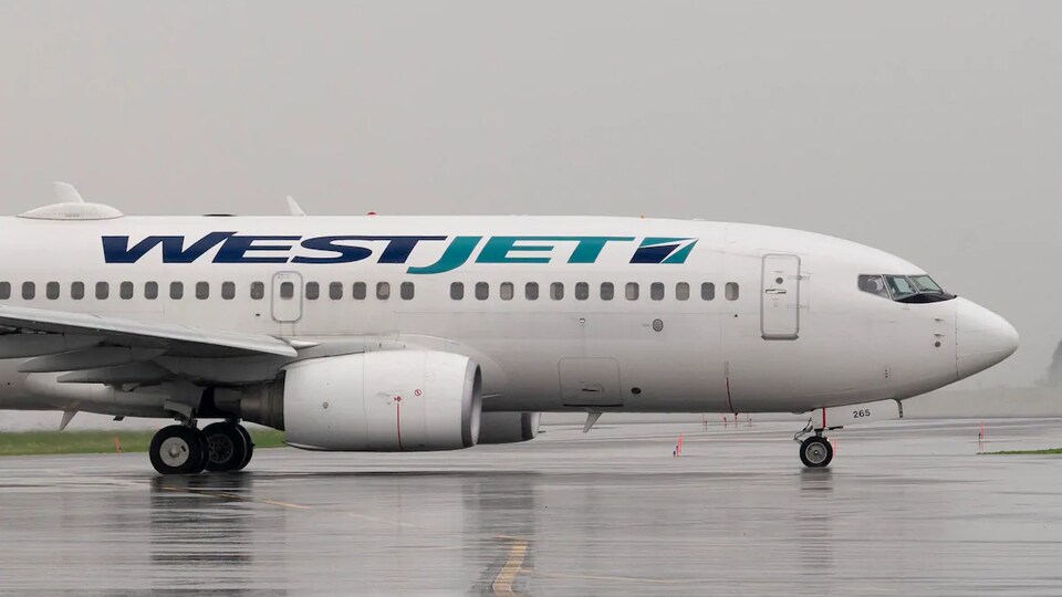Un avion de la compagnie aérienne WestJet sur le tarmac d'un aéroport.