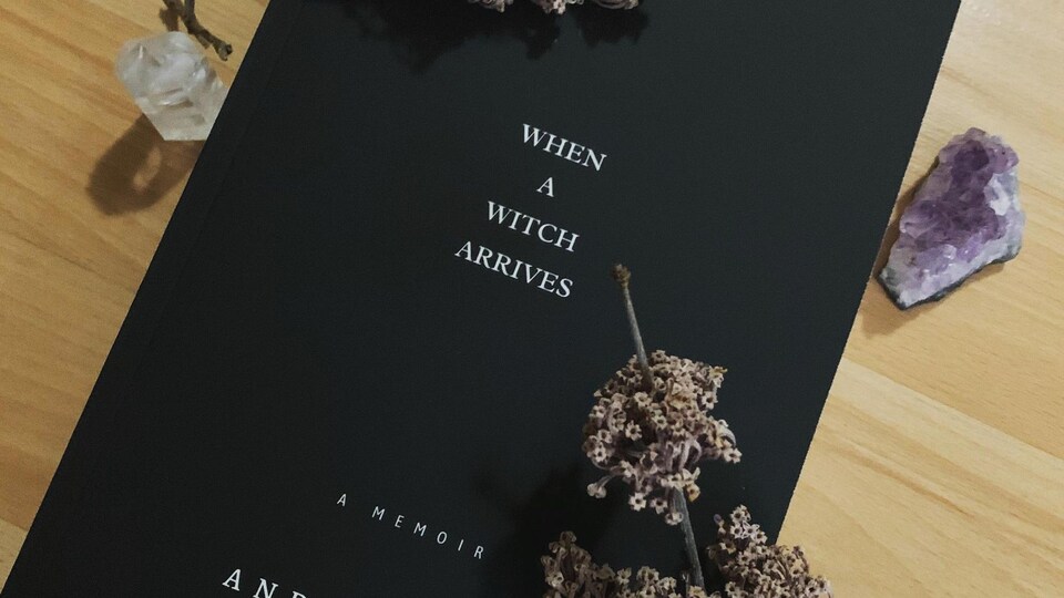 Le livre When a Witch arrives