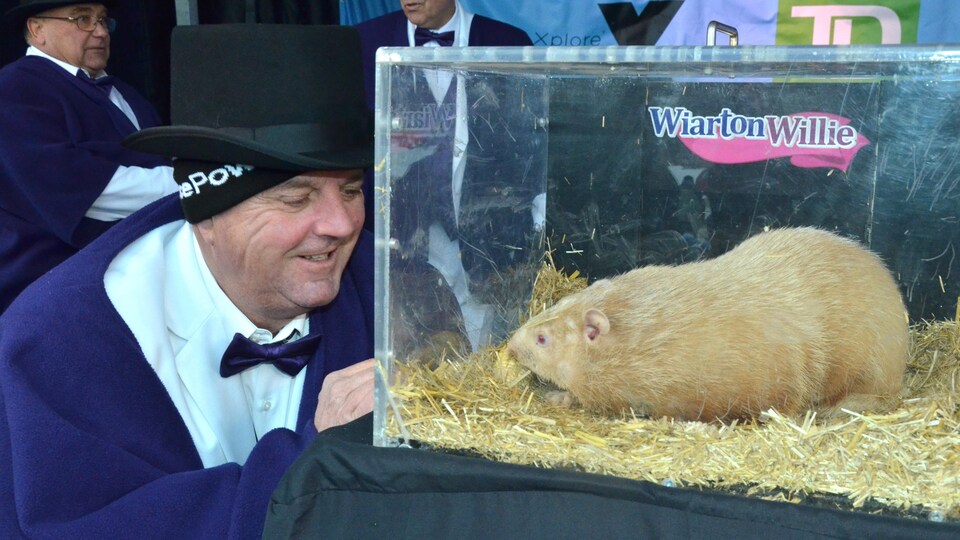 Garry Michi, maire de la municipalité de South Bruce Peninsula, pose avec la marmotte Wiarton Willie.